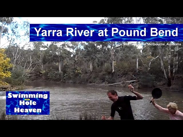 Swimming in the Yarra River at Pound Bend in Warrandyte, Melbourne