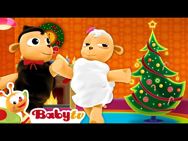 ¡Feliz Navidad con las ovejas blanca y negra 🎄🎁 | Felices fiestas @BabyTVSP