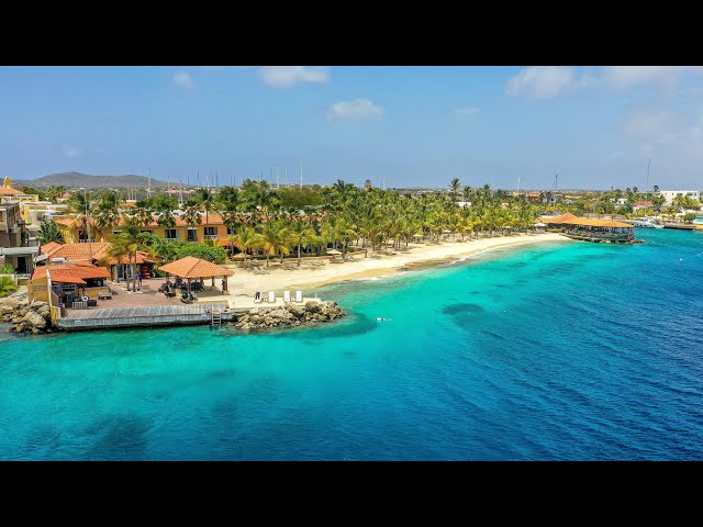 Dive with Great Adventures Bonaire at Harbour Village on the magical Caribbean island of Bonaire.