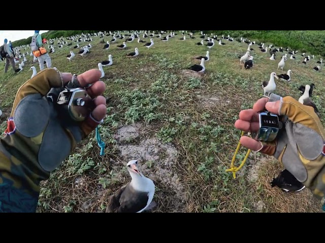 Annual Bird Count Using Clickers 2024