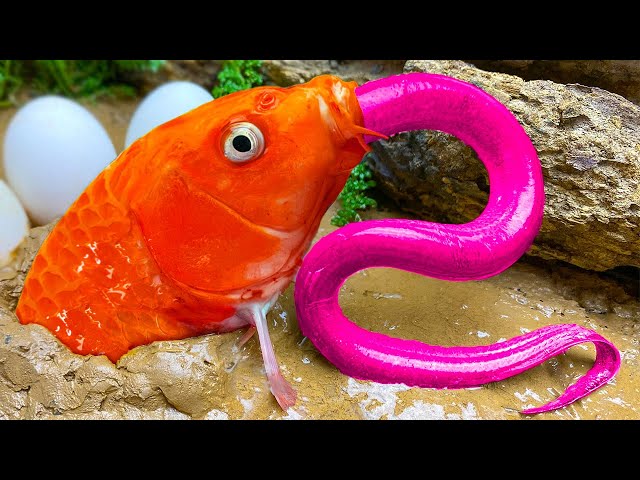 Stop Motion ASMR - Mukbang Catch Giant Catfish, Colorful eggs, Frogs In hole Primitive Cooking