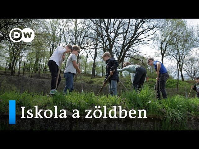 Alternatív iskola falusi környezetben | „Mindenki bedobja a közösbe, ami van”