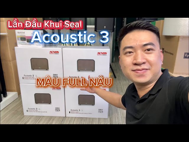 [ Gu Loa ] Khui Seal Loa ACNOS ACOUSTIC 3 MÀU NÂU