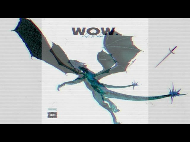 Wow by Post Malone | Slowed Reverb | Chill low-fi remix