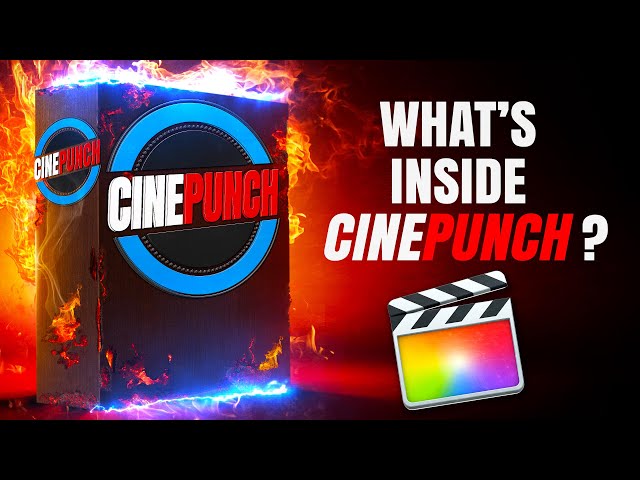 What's Inside CINEPUNCH for Final Cut Pro X?