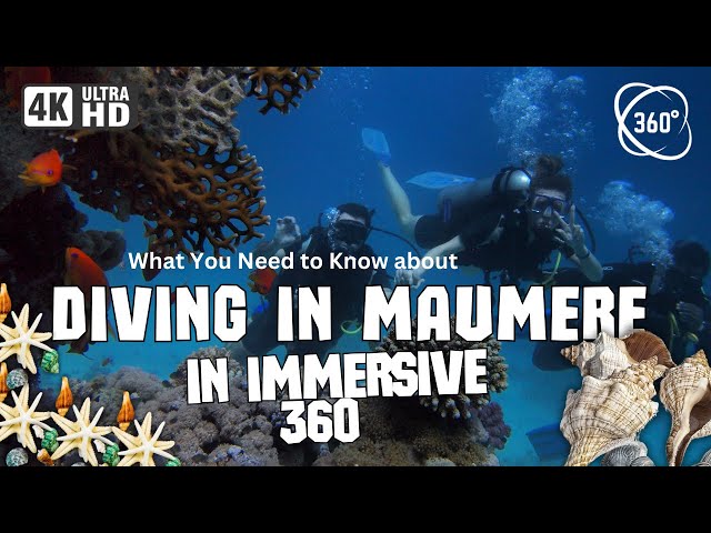 DIVING IN MAUMERE; What You Need to Know about one of Indonesia’s Best Kept Secrets Dive Sites