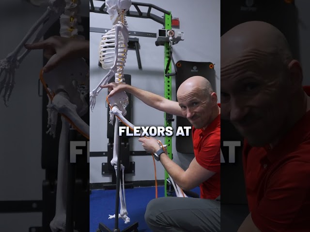 Tight Hip Flexors