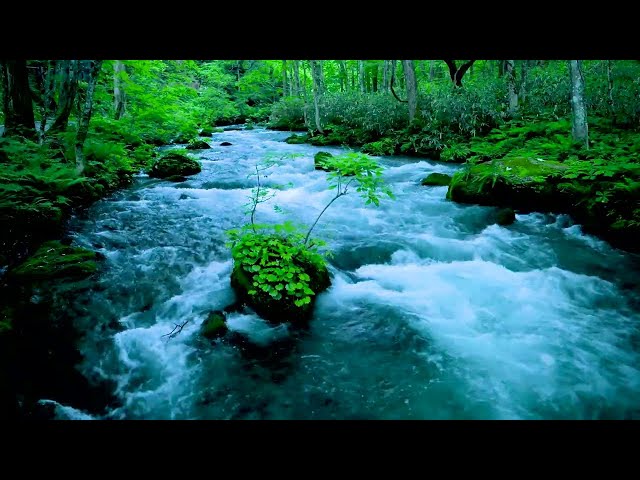 Nature Sounds Waterfall for Relaxation Meditation Relaxing Calm River Water flow for Sleeping