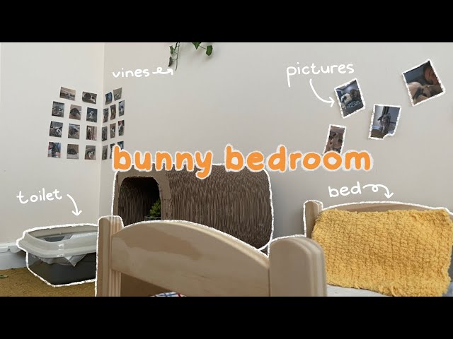 How to set up an AESTHETIC & FUNCTIONAL bunny area