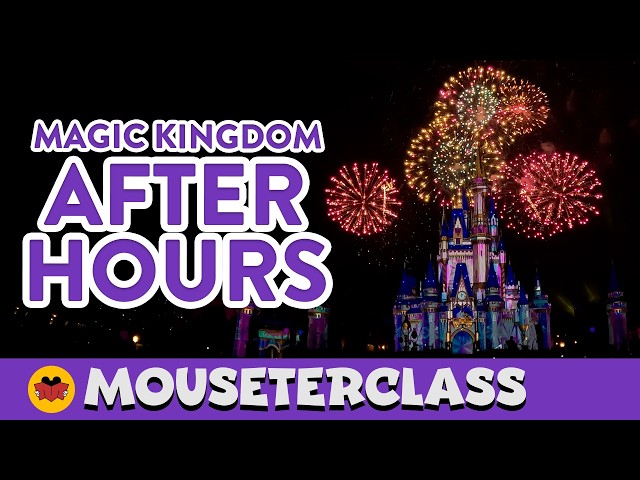 18 Rides in ONE NIGHT! Full Strategy Inside #Mouseterclass