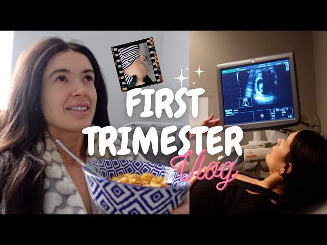 FIRST TRIMESTER PREGNANCY VLOG/RECAP | first signs and symptoms, travelling, reassurance scan & more