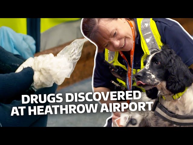 Suspicious Package Found At Heathrow: Britain's Busiest Airport | S5 E5 | Our Stories