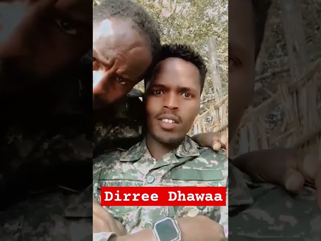 Dirree dhawaa #diredawa #dire #city #oromo #somalia #ethiopia #shorts #shortvideo #short #shortfeed