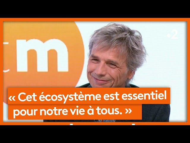 L'interview d'actualité - Guy Lagache alerte sur l'urgence de protéger la forêt du bassin du Congo.