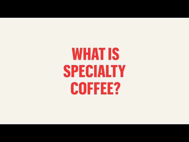 Coffee For Everyone: What Is Specialty Coffee?