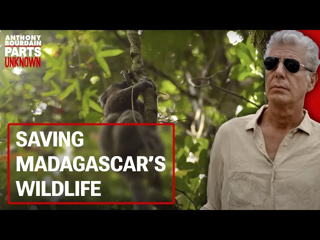 The Realities of Madagascar Travel | Anthony Bourdain Parts Unknown