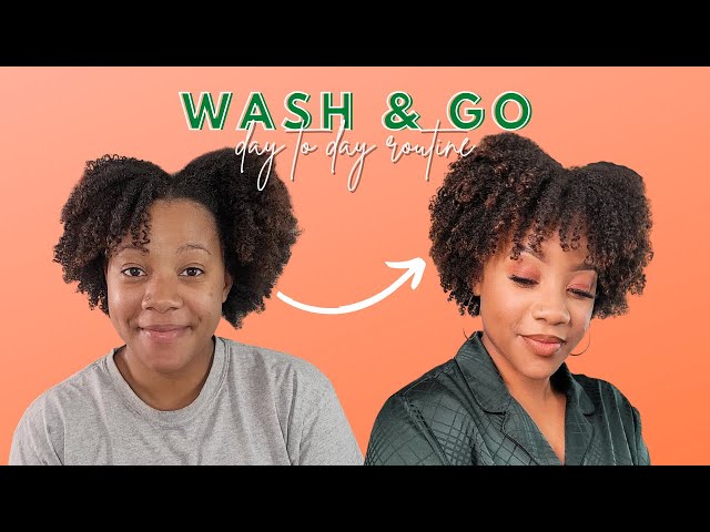 The BEST Wash & Go for Defined, Soft, Bouncy Coils |Natural Hair |PONPONS