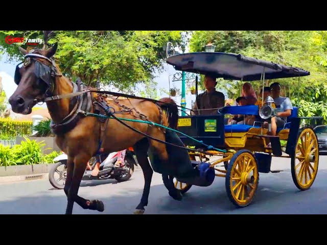 NAIK KUDA - KUDA DELMAN - FINGER FAMILY SONG - LAGU MEDLEY TOPI SAYA BUNDAR - NAIK DELMAN ISTIMEWA