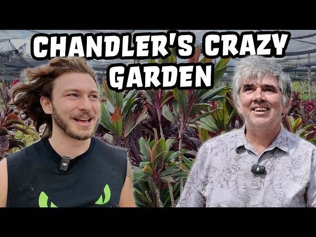 Chandler's Wildlife Crazy Garden Plants