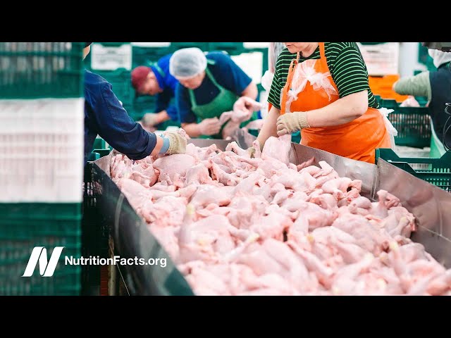 Poultry Exposure Tied to Liver and Pancreatic Cancer