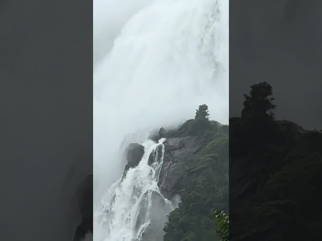 Biggest waterfall Goa #waterfall #nature #shorts #trending #love #travel