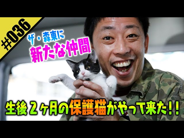 【保護猫を飼う】新たな仲間に森田デレデレ！！