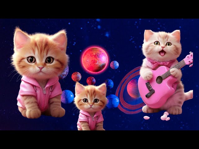 New Funny Cat video(2024) athal muththa#cat