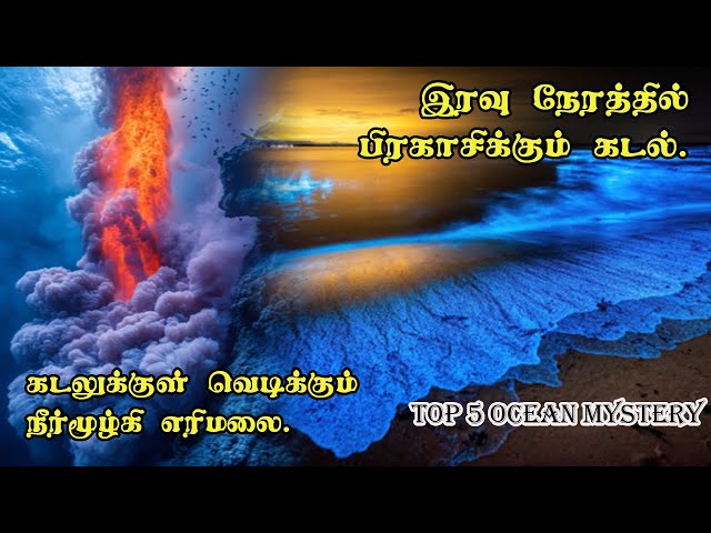 Top 5 Amazing Ocean Mysteries Facts and Phenomena #phenomenon #oceanfacts #tamil  #bioluminescent