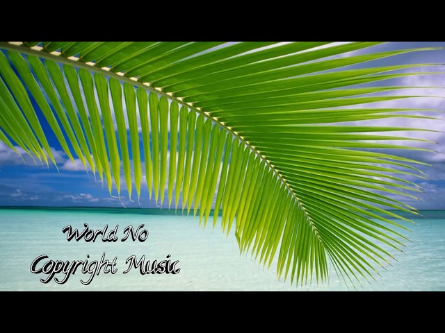 Woods - Acoustic Folk [World No Copyright Music]