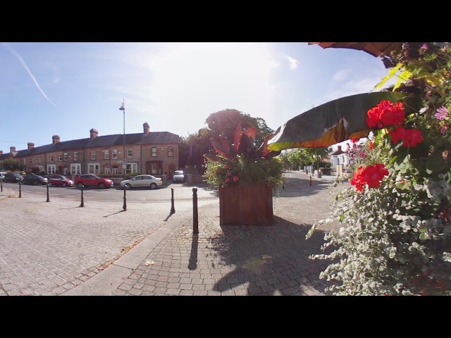 360 Video - Botanic Gardens, Dublin