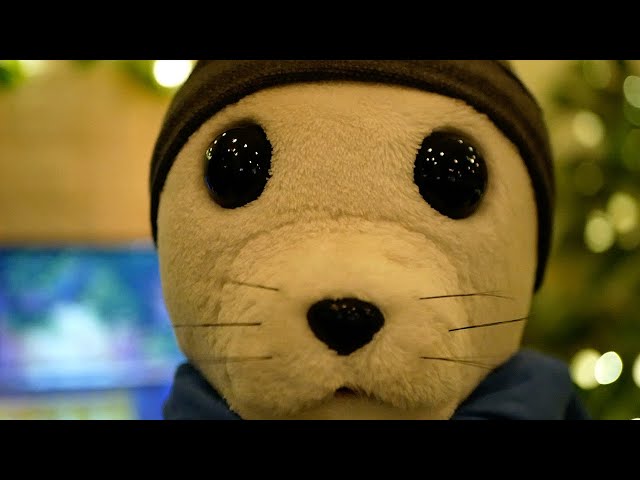 ASMR Therapy Session | Personal Attention from a 🦭 Friendly Seal | Deep Stress & Anxiety Relief