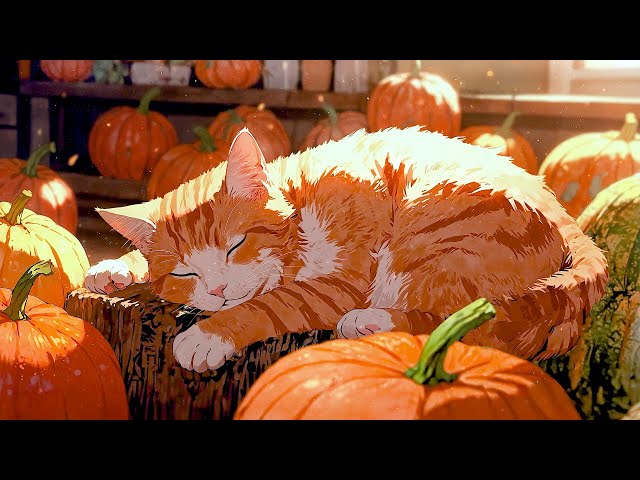 Lazy Autumn Morning 🐱 Lofi Fall Vibes 🐱 Morning Lofi Songs To Listen To Wake Up 🐱 Lofi Cat Music