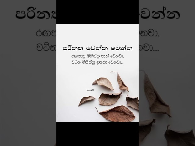 කතාව ඇත්ත නම් කමෙන්ට් කරන්න 🃏🌺wadan|sinhala #motivational