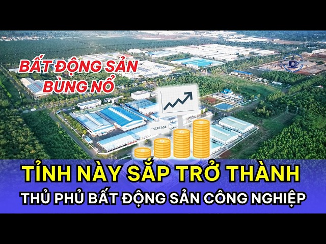 Tỉnh Này Sắp Trở Thành Thủ Phủ Bất Động Sản Công Nghiệp!