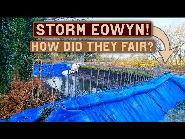 STORM EOWYN HITS THE BRIDGEWATER CANAL BREACH! Did The Cofferdams SURVIVE 90MPH WINDS? Jan 24th