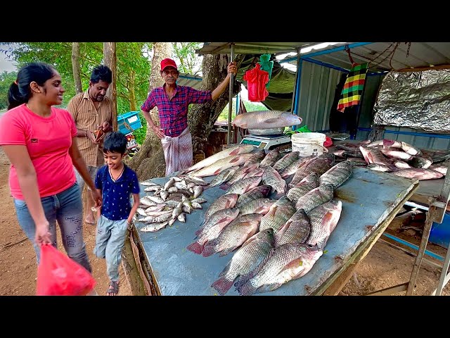 Attractive! Street Fish Cutting Secrets in a Rural Village Fish Market