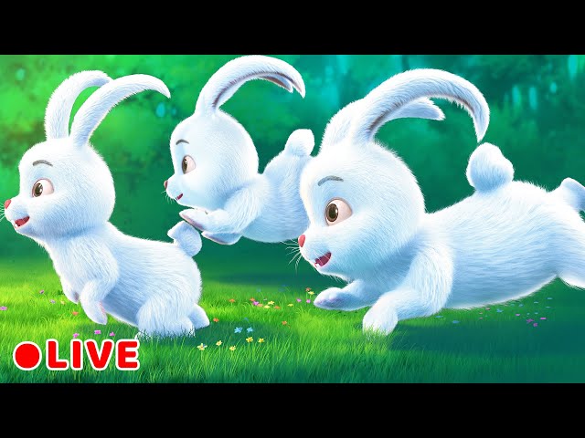 Hop Little Bunnies Hop Hop Hop!! | Beep Beep Nursery Rhymes & Baby Songs