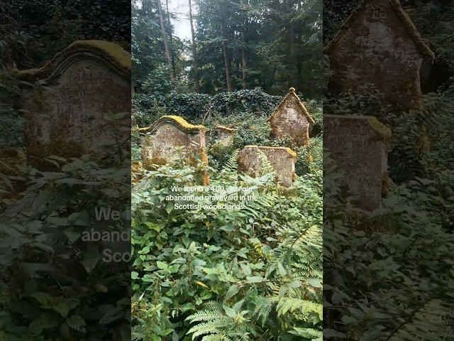 400 year old forgotten graveyard in Scotland 🏴󠁧󠁢󠁳󠁣󠁴󠁿🪦🌿#abandonedplaces #abandoned #scotland