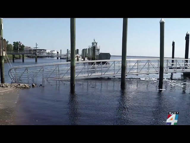 Retired submariners, family members were gathered for St. Marys River cruise when metal walkway ...