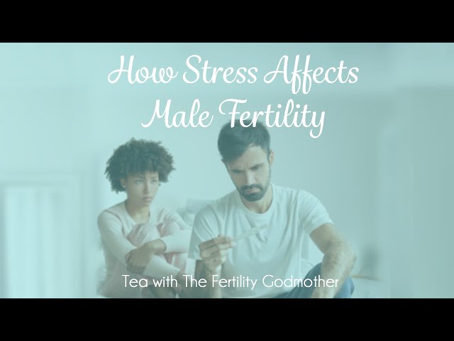 How Stress Affects Male Fertility 😰 ⬇️