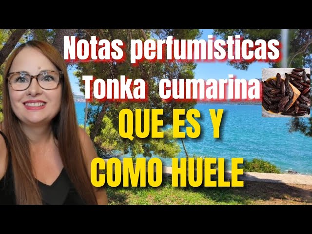 Como HUELE la haba tonka/cumarina en los perfumes?QUE es la cumarina y la tonka? Notas perfumisticas