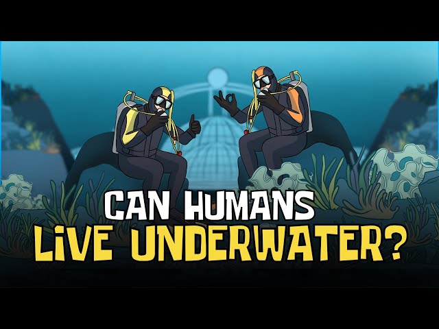 Can Humans Live Underwater? (The Science of Adapting to Aquatic Life) | Animated Science