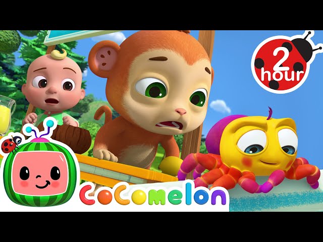 Itsy Bitsy Spider Song | Cocomelon - Nursery Rhymes | Fun Cartoons For Kids