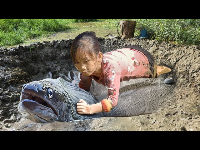 Full Video : the adversity of an orphan girl living alone | Orphan girl Ma Ngoc Anh