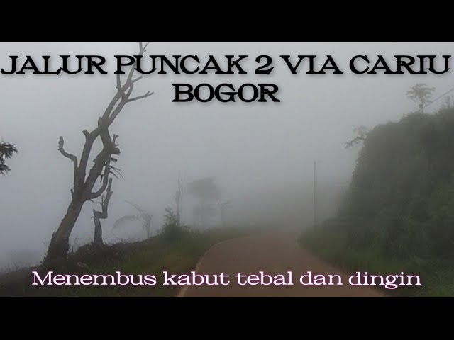 Kabut Tebal menyelimuti Puncak 2 dan Puncak Pass Bogor