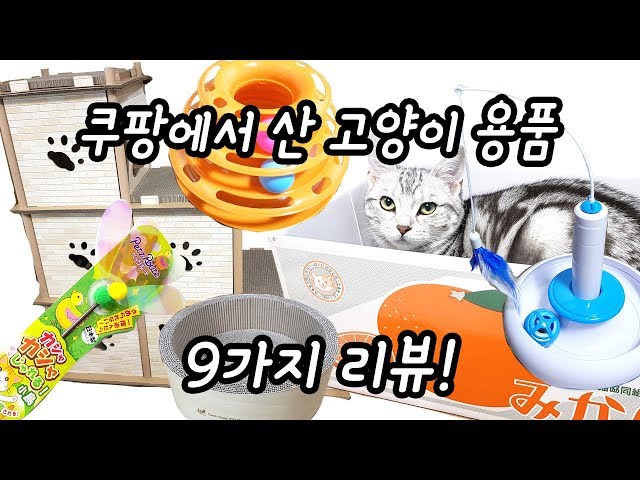 쿠팡 고양이용품 9가지 리뷰! (장난감, 스크래쳐, 숨숨집, 쿠션)