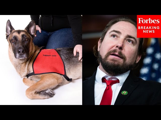 Eli Crane Asks If 'Therapy Dogs' Can Be Brought In For Democrats Upset By Elon Musk's DOGE Work