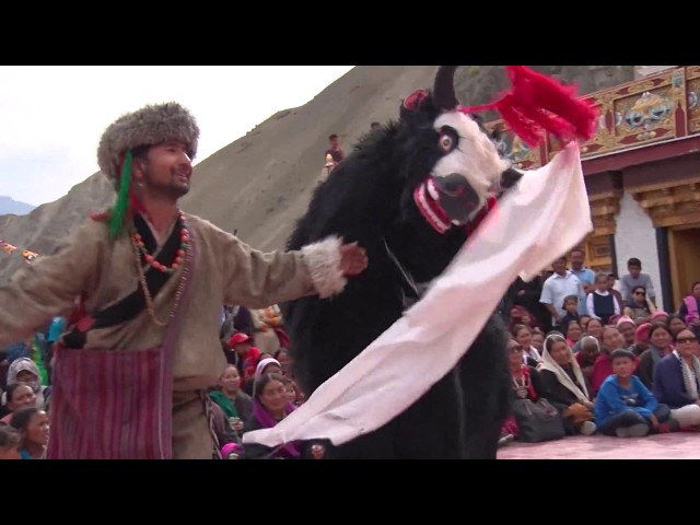 Beautiful Yak Dance & Song | LEH LADAKH | Tserkarmo monastery