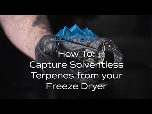 How to Capture Solventless Terpenes From Your Freeze Dryer