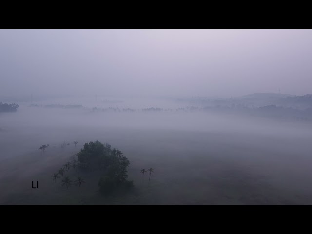 Kochi , wetlands